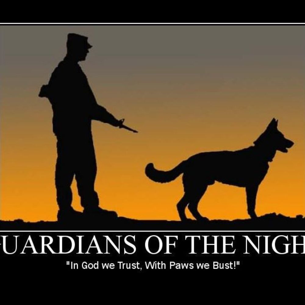 Meet your Posher, Kylee